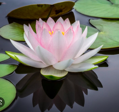 3-day Non Residential Retreat